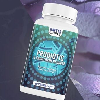 Probiotic-Banner-2021_1080x